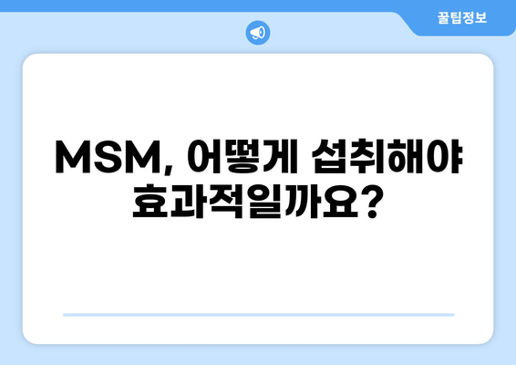 관절 건강을 위한 MSM| 황의 효능과 부작용 완벽 가이드 | 관절 통증, 연골 건강, MSM 효과, 부작용
