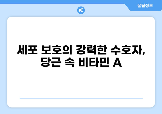당근 필수 비타민 A| 세포 보호의 강력한 수호자 | 건강, 영양, 항산화, 면역, 눈 건강