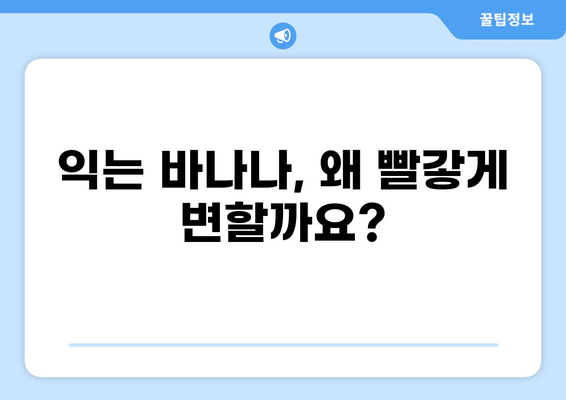 바나나가 빨갛게 변하는 이유| 궁금증 해소 | 과학, 색소, 숙성, 품종, 바나나
