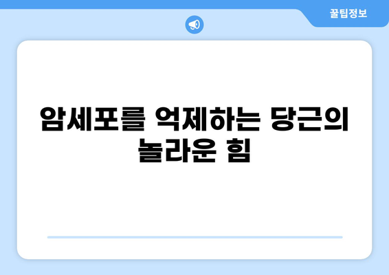 당근, 암 예방의 숨겨진 비밀| 당신의 건강을 지키는 7가지 효능 | 암 예방, 항암 식품, 건강 식단, 당근 효능