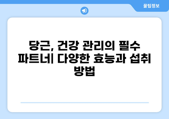 당근의 놀라운 미네랄 파워| 건강 유지의 비결 | 당근 효능, 영양 성분, 미네랄, 건강 관리