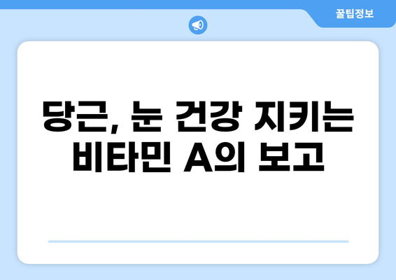 당근 필수 비타민 A| 세포 보호의 강력한 수호자 | 건강, 영양, 항산화, 면역, 눈 건강