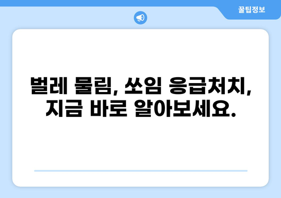 벌레에 물리거나 쏘였을 때 당황하지 마세요! | 응급처치 & 예방 가이드