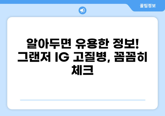 그랜저 IG 고질병 완벽 정리| 빈번하게 발생하는 문제점과 해결 방안 | 자동차, 고질병, 수리, 정비, 주의사항