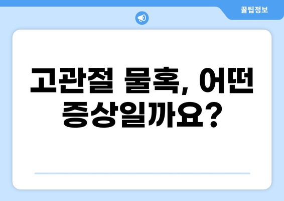 고관절 물혹 증상과 치료 방법 완벽 가이드 | 고관절 통증, 낭종, 관절낭, 진단, 수술, 비수술적 치료