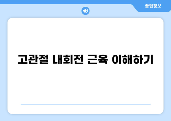 고관절 내회전 근육 강화 및 스트레칭 가이드| 해부학, 기능, 운동법 | 고관절 통증, 내회전, 외회전, 근육 불균형, 운동 처방