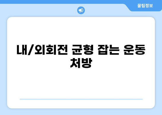 고관절 내회전 근육 강화 및 스트레칭 가이드| 해부학, 기능, 운동법 | 고관절 통증, 내회전, 외회전, 근육 불균형, 운동 처방
